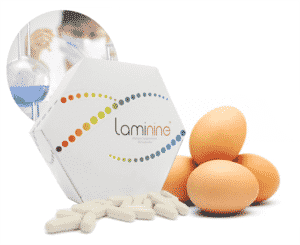 laminine_main_530